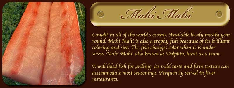 Mahi mahi