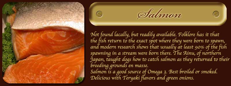 Salmon