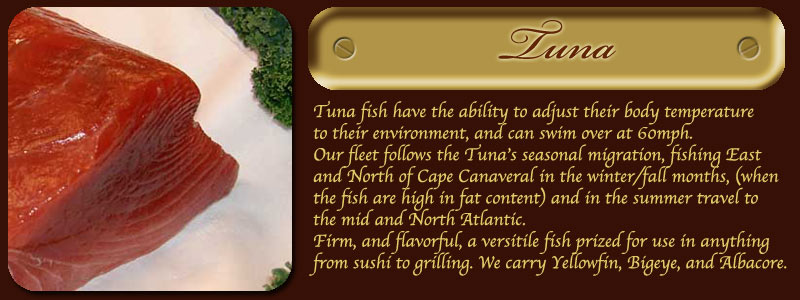 Tuna